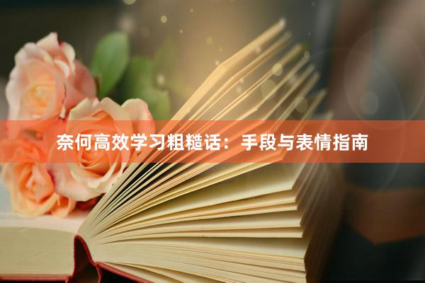 奈何高效学习粗糙话：手段与表情指南